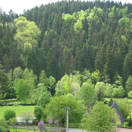 Moderne In Borstendorf Mit Park Leubsdorf