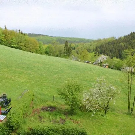 Moderne In Borstendorf Mit Park * Leubsdorf