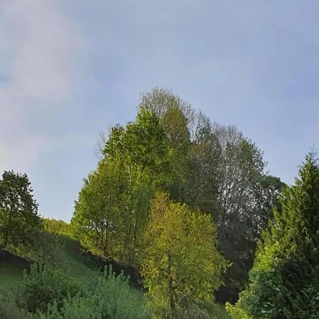 Moderne In Borstendorf Mit Park Willa